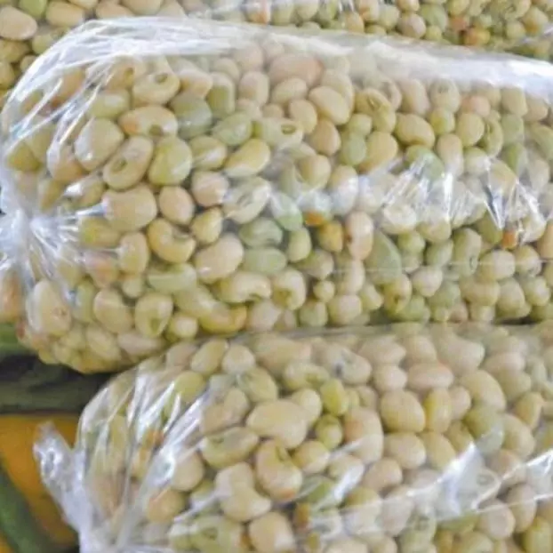 FEIJÃO VERDE - MAIOR