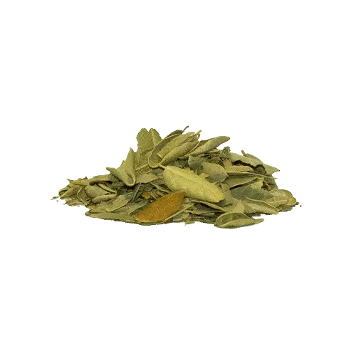 Boldo em Folhas - 100g