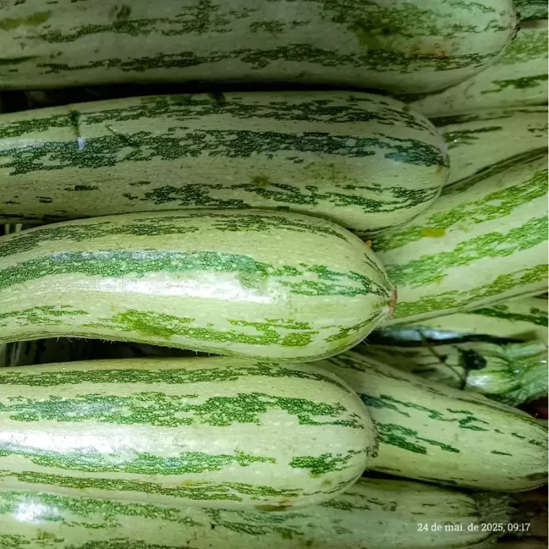 ABOBRINHA ITALIANA ORG. 500gr