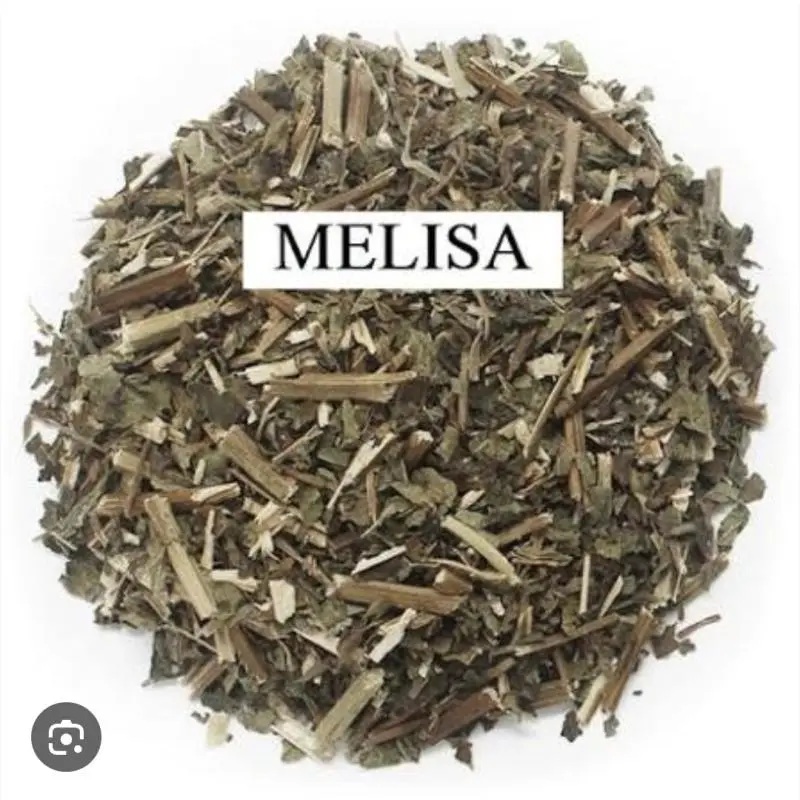 Melisa