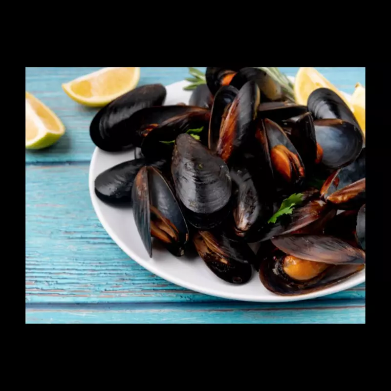 Choro - mejillon - mussel - mexilhão