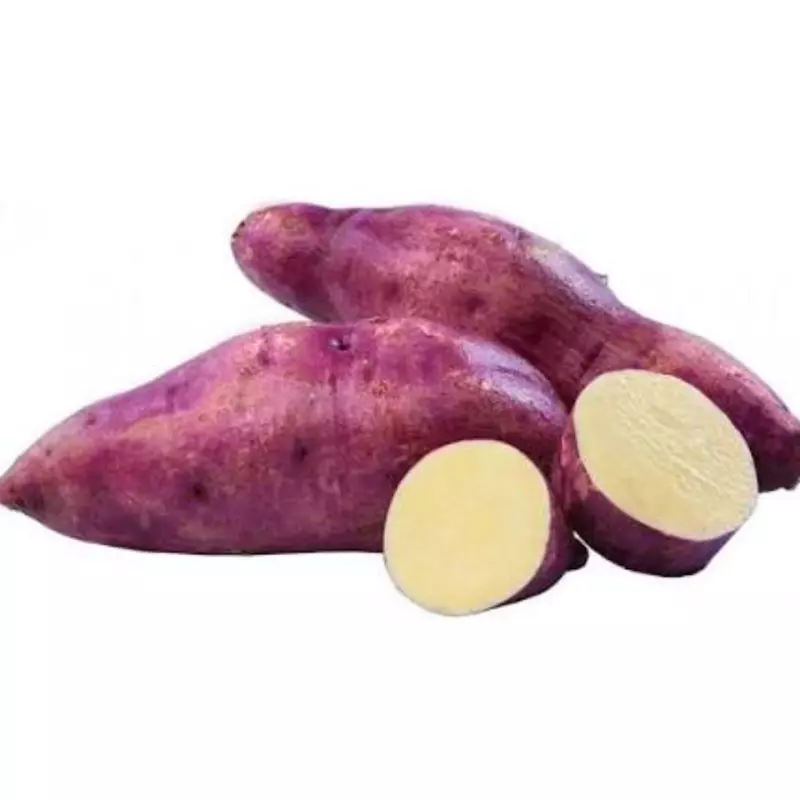 BATATA DOCE - ROXA