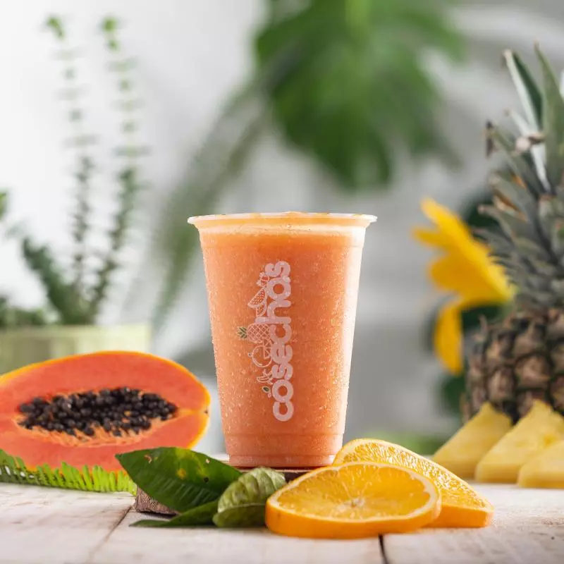 Mimosa