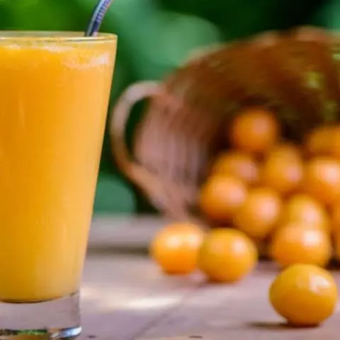 Suco natural cajá 500ml