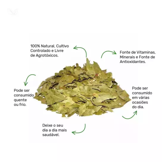 Eucalipto Folhas - 30g