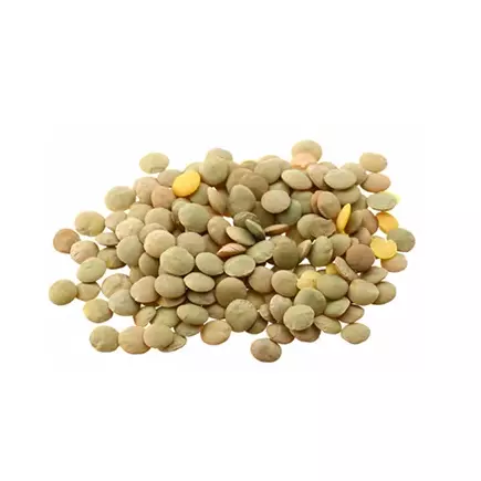 Lentilha Canadense - 100g