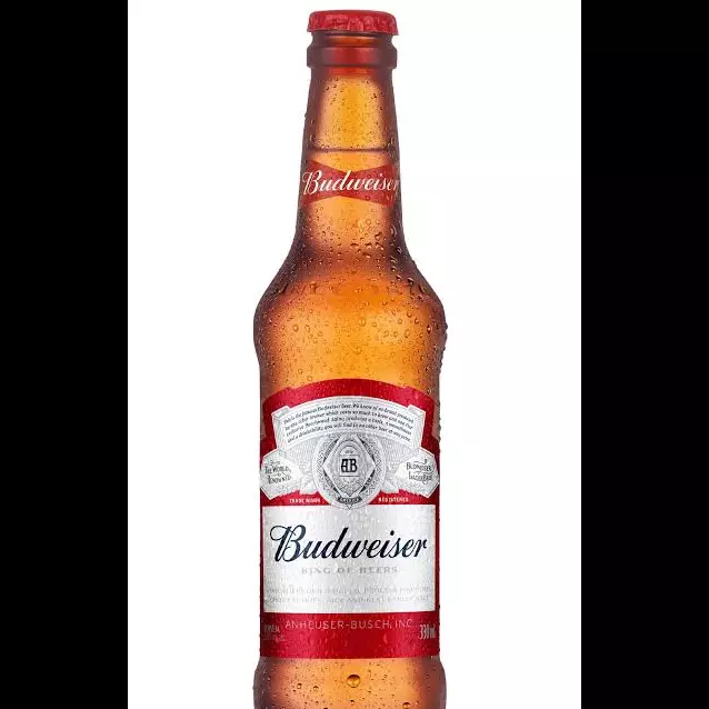 Cerveja Budweiser 330 ml