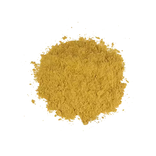 Gengibre Pó - 100g