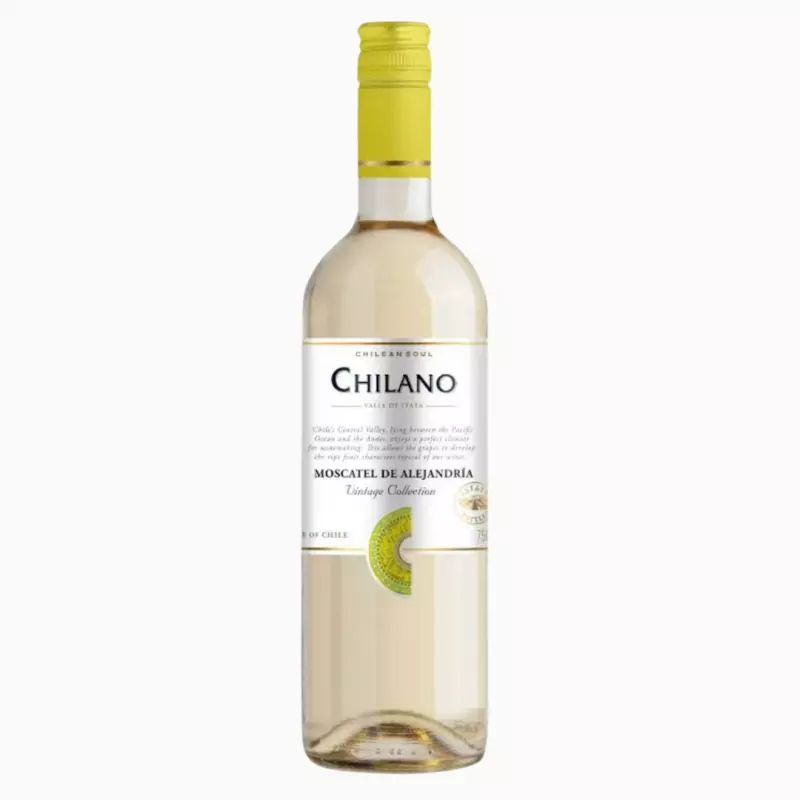 🇨🇱 CHILANO MOSCATO
