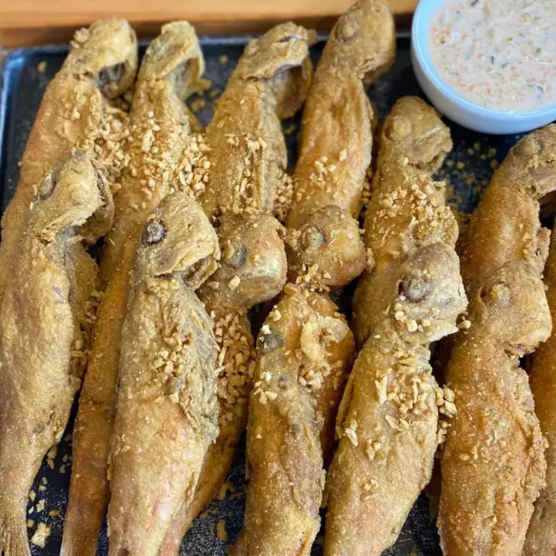 PORÇÃO DE TRILHA INTEIRA