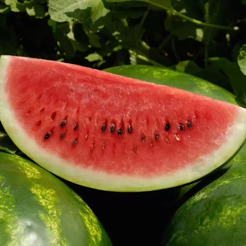 MELANCIA orgânica (pedaço 1/4)