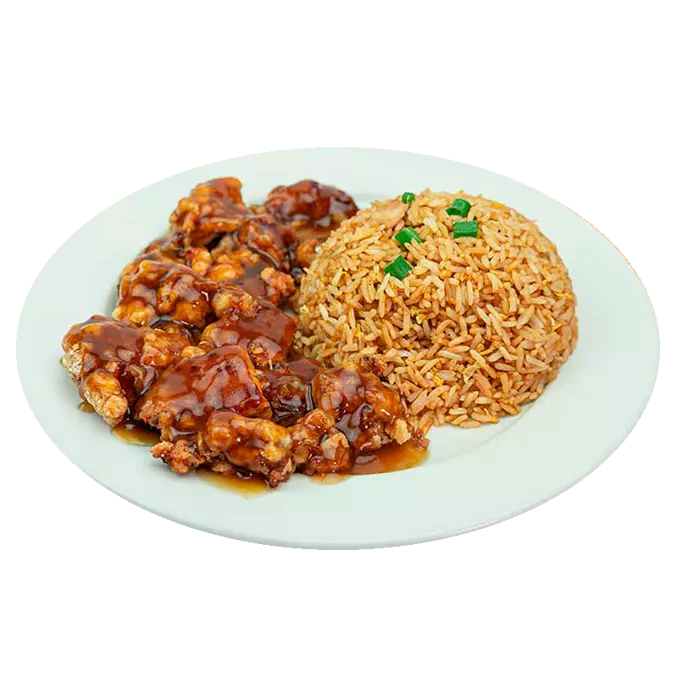 M9-Pollo Chijaukay + Chaufa