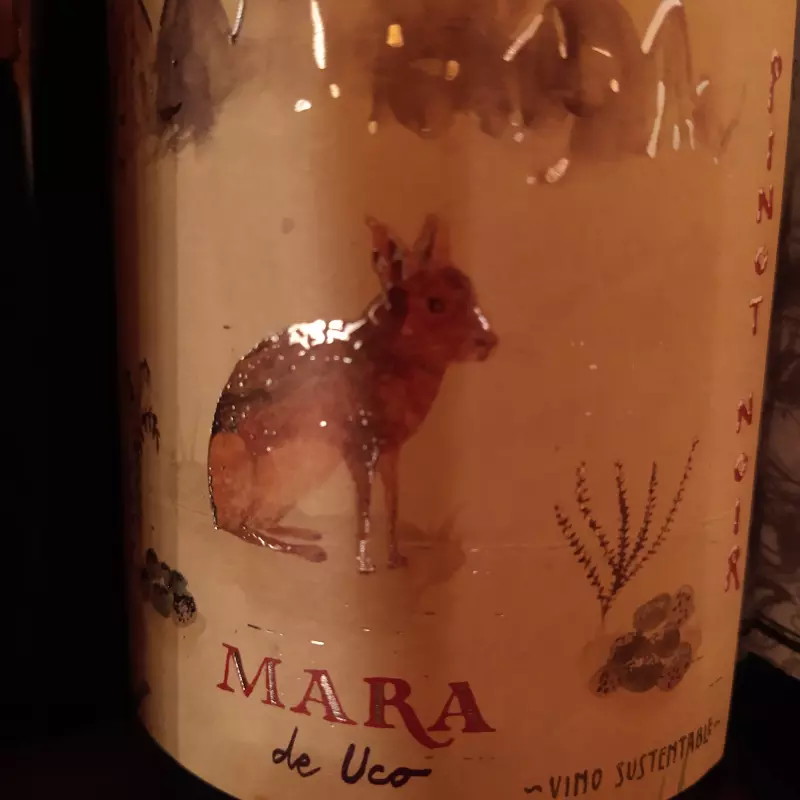 Mara