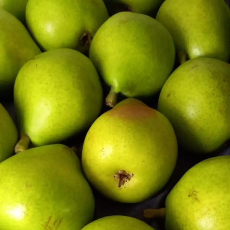 PERA IMPORTADA UNIDAD