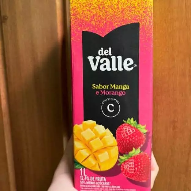 SUCO DELL VALE MANGA E MORANGO 1LT