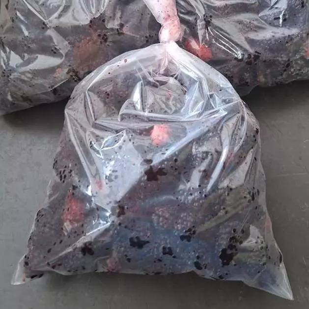 Amora Congelada (Ivonete)