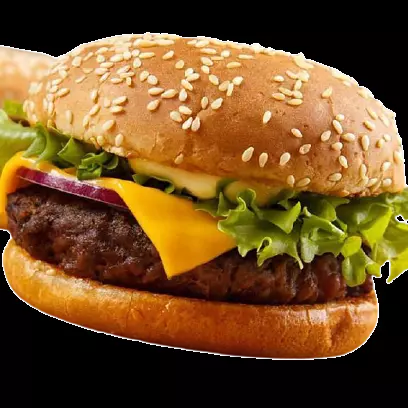 Hamburguesa Jamon y Queso