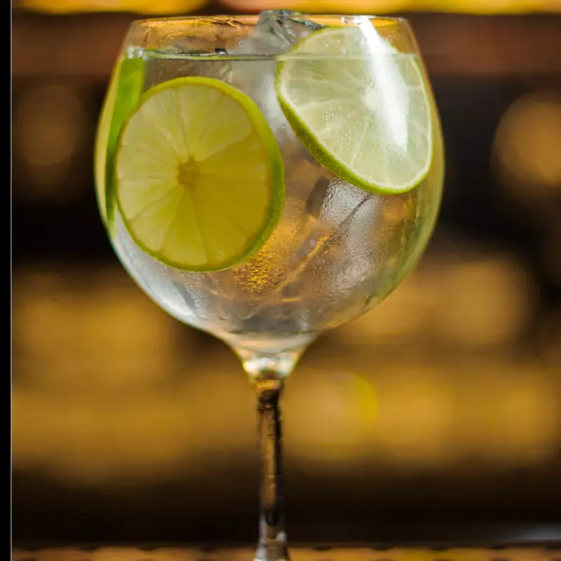 Gin Tônica - Importado