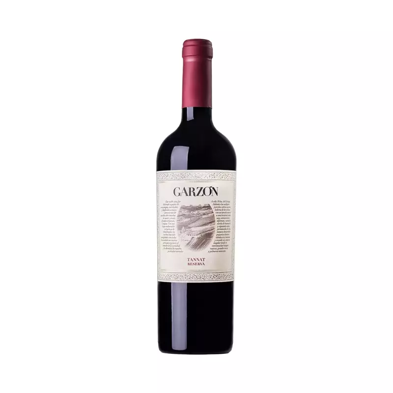Garzon Tannat Tinto