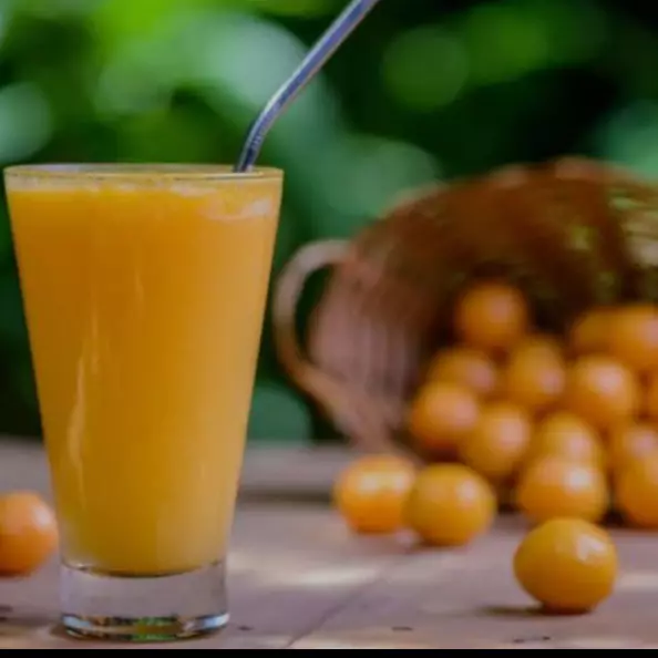 Suco natural Tapereba 500ml c/Leite