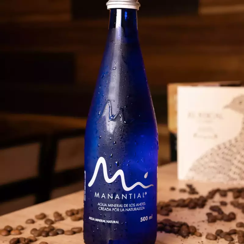 Agua Manantial 500ml