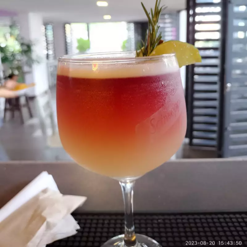 LIMONADA DE VINO