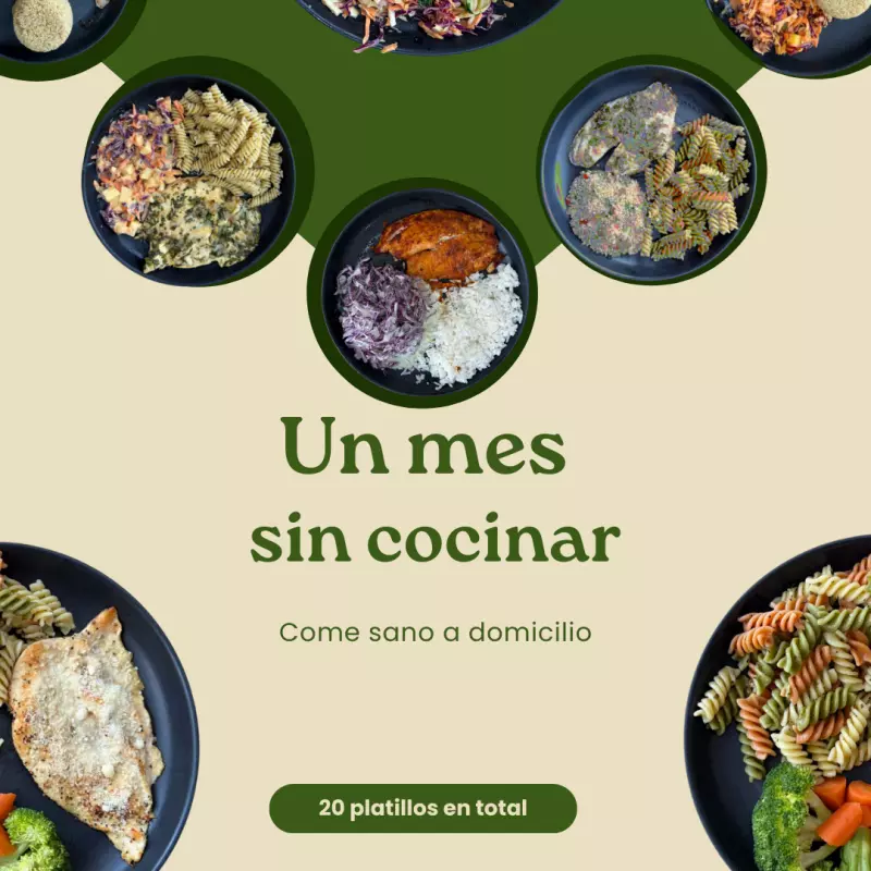 Plan mensual (205 c/platillo X20)