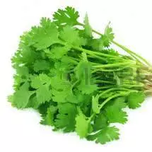 Cilantro x500gr