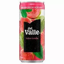 DEL VALLE 290ML