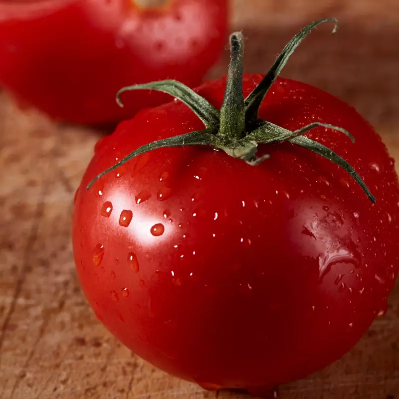 Tomate Chonto Sel  1 und