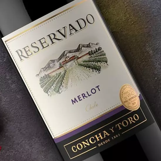 Vinho Concha Y Toro Malbec