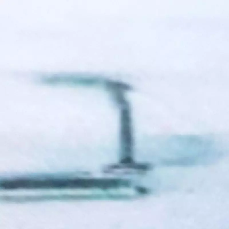 Rotores saque Rapido Asa Delta