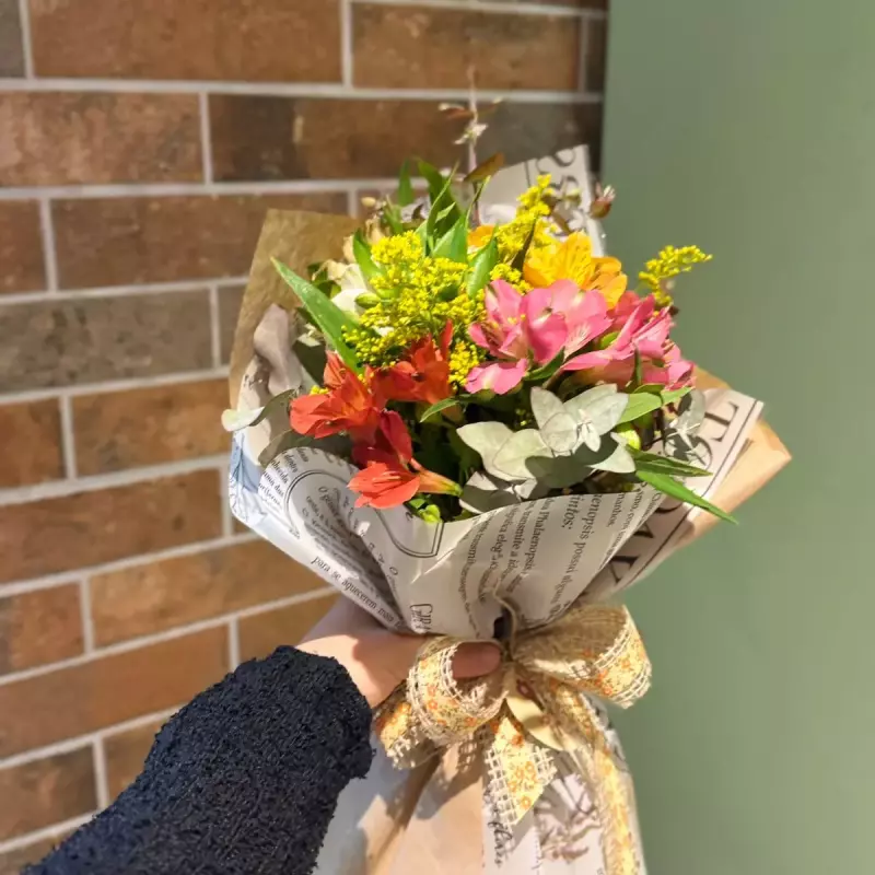 Mini de Alstroemérias