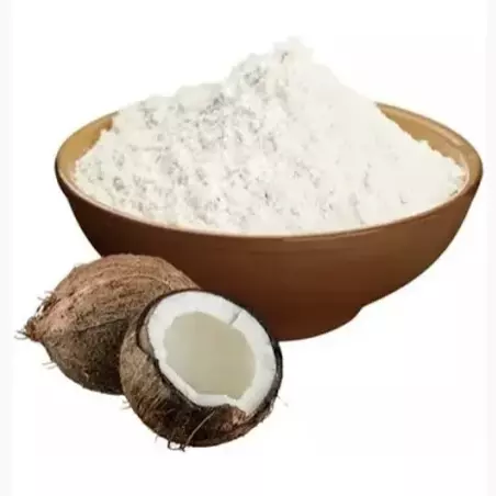 Leite de Coco Pó 100g
