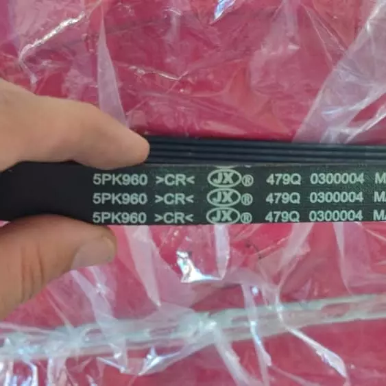 Correa del alternador