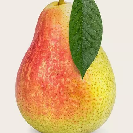 Pera forelle