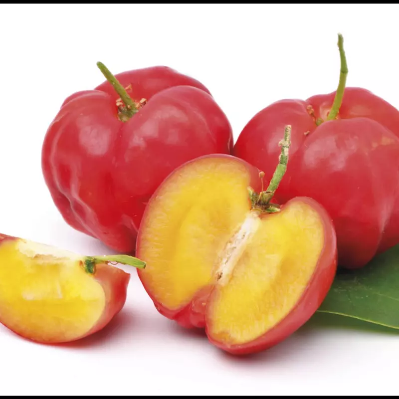 Sumo Natural de Acerola 500ml