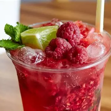 Mojito Frutos Rojos 1LT