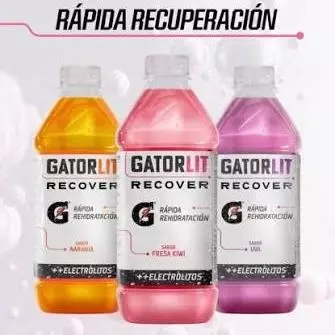 GATORLIT 620ML