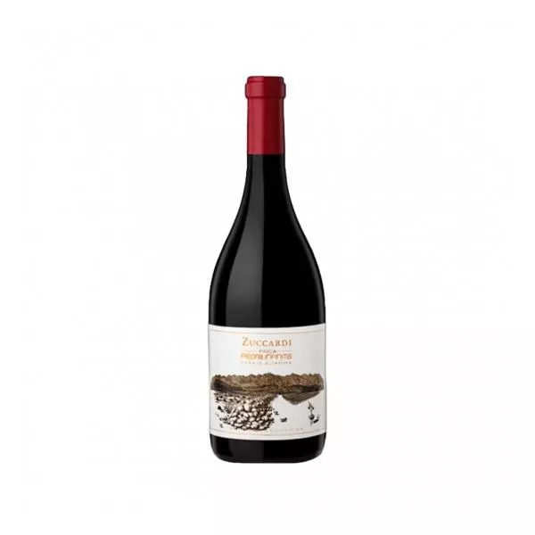 Zuccardi Piedra Infinita Malbec 2020