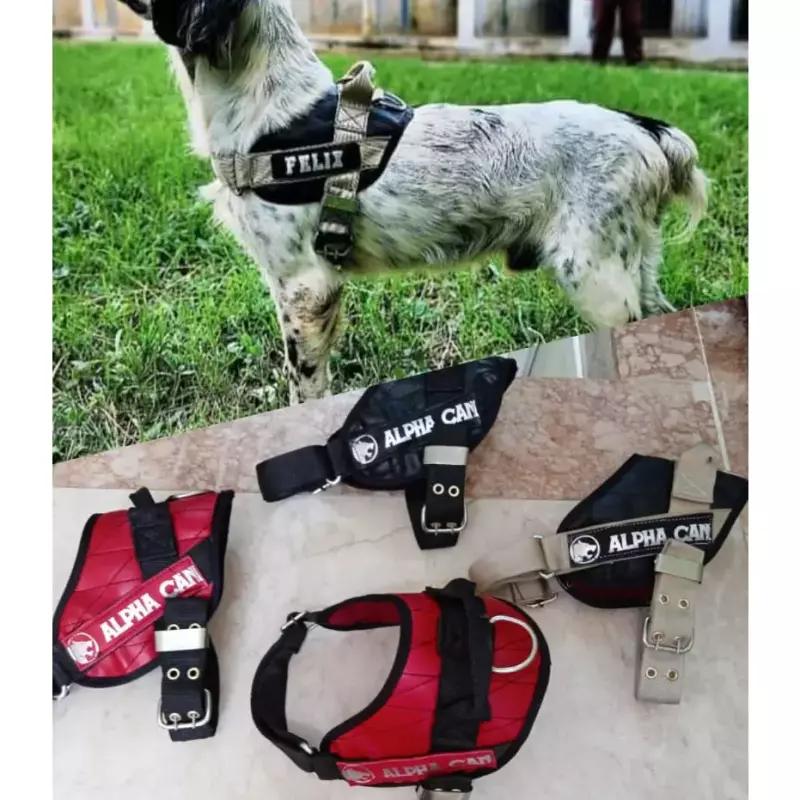 PECHERA k9