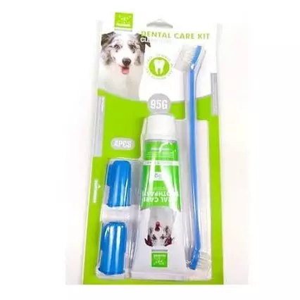 Kit dental Nunbell