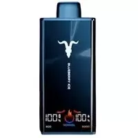 V300 DRAGON FRUIT WATERMELON