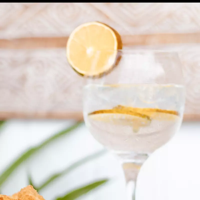 GIN TONICA CLASSICO(GIN IMPORTADO)