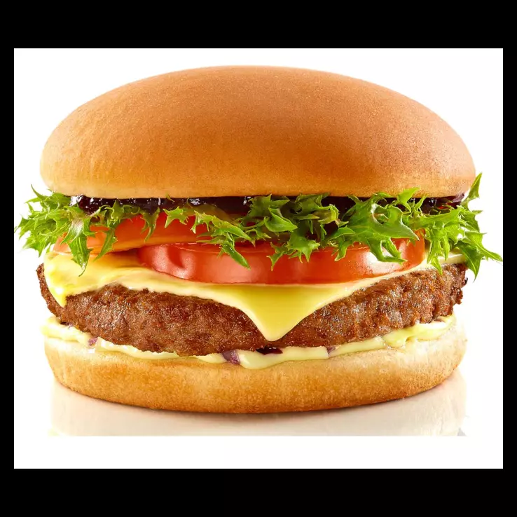 Master X-Salada Master