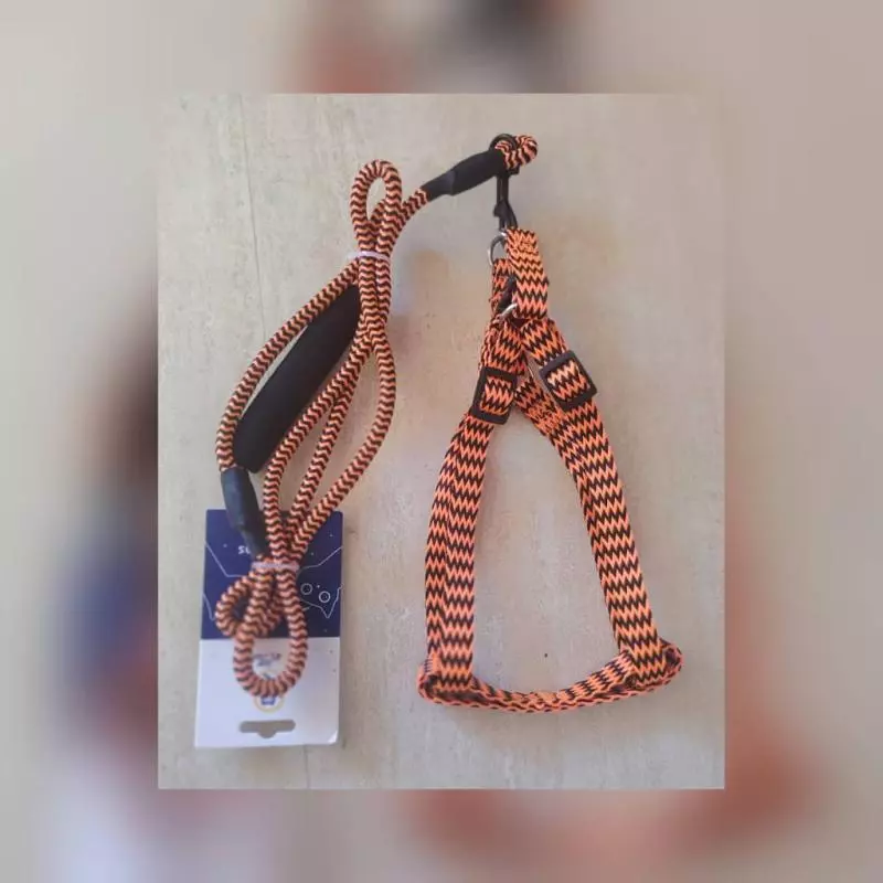 CORREA CON PECHERA PARA PERROS
