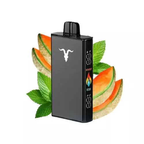Mint Melon
