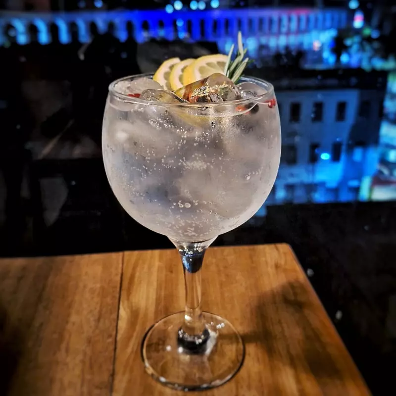 Gin Tônica
