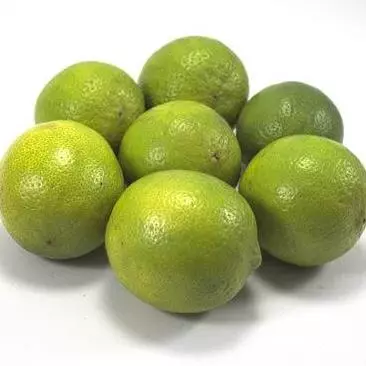 LIMÃO TAITI INTEIRO