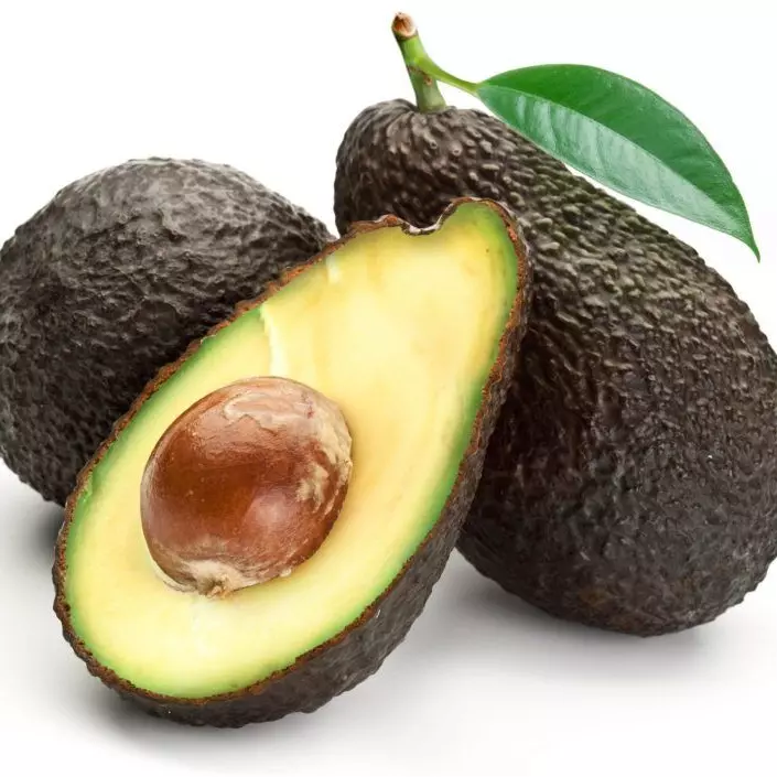 Aguacate Hass Sel 1 und